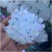 Natural Crystal Cluster Plated White Crystal Cluster Reiki Stone Crystal Tip House Decorative Specimens Crude Mine Full of Texture 1pc - Buy Online on GoSupps.com