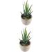 MAGICLULU 2pcs Faux Plant Simulation Plant Small Succulent Plants Home D cor Succulent Simulation Succulents Arrangements Suculentas Artificial Plants Decorative Plants Mini Cactus - Buy Online on GoSupps.com