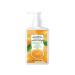 Fruit and Vegetable Wash Dishwashing Liquid Dish Soap Natural Dish Detergent Liquid Kitchen Vegetable Cleaner 1 Bottle