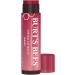 Buy BURTS BEES Daisy Tinted Lip Balm - 4.25 GR | Moisturizing Lip Care Worldwide Shipping - Buy Online on GoSupps.com