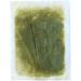 Foot Relax Seet 30 piece - Grapefruit by Foot Relax - Buy Online on GoSupps.com