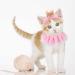 Legendog Princess Cat Bandana & Crown Costume Set for Birthday Parties - Pink - Buy Online on GoSupps.com