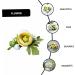 POPETPOP bridal hair accessories bridal headpieces for wedding Hair Side Comb Wedding Bridal Headpiece Bridal Headdress hair teasing comb bridal hair clip bride silk flower hair comb - Buy Online on GoSupps.com