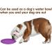 Buy Vivifying Frisbee Dog - 2 Pack 18 cm Natural Rubber Frisbees for Land & Water | Green & Purple - International Shipping Available - Buy Online on GoSupps.com