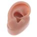 Minkissy silicone-human- right ear model: fake ear model- body part ads ear piercing model for acupuncture human model simulation coffee 6.5x3.5 cm.