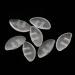 25 Pairs of Transparent Oval Silicone Nose Pads for Pressing In - 15mm - Ideal for Glasses & Sunglasses - Buy Online on GoSupps.com