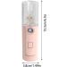 Face Steamer - Portable Ionic Mist Sprayer Face Facial Sprayer for Skin Care Refreshing Revitalizing & Soothing - Face Steamer for Daily Use Tmay L8-little Pink Rabbit - Buy Online on GoSupps.com