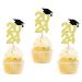 24 Pcs 2024 Graduation Cap Cupcake Toppers Theme Party Cake Decoration Dessert Insert MGPFERD