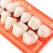 GDZTBS Resin False Teeth - 28pcs Synthetic Fake Teeth Model | Durable Temporary Dentures for International Shipping - Buy Online on GoSupps.com