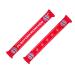 FC Bayern Munich Scarf - Logo 5 Stars - red fan scarf Scarf FCB