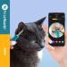 First Health Wireless Otoscope with Light | Waterproof Ear Wax Removal Tool Camera for iPhone iPad Android | 1920P HD Ear Nose & Throat Inspection Device - Shop Now - Buy Online on GoSupps.com