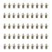 BAENRCY 50pcs 3-5V DC 2 Phase 4 Wire Dia 6mm DC Stepper Motor Micro Stepping Motor for Digital Products Camera Size 6x15.5mm