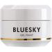 Bluesky Silver Gel Paint Nail Art DK11 8 ml - UV/LED Gel Polish for Professional Finish - Buy Online on GoSupps.com