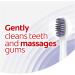 Colgate 360 Gum Health Sonic Powered Battery Toothbrush 1 Count - Buy Online on GoSupps.com