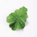 Beaupretty Fake Lettuce Leaves Artificial Vegetables Lettuces Alligator Hair Clip Vegetable Hairpin Hair Clip Cute Hair Accessories Sweet Barrette Creative Party Headdress for Women Girls - Buy Online on GoSupps.com