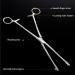 JNAWA Reptile Feeding Clip Pet Raising Feeding Tool Reptile Terrarium Stainless Steel Tongs Tweezers for Snake Lizard Reptile Animal - Buy Online on GoSupps.com