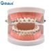 Dental Orthodontic Ligature Ties - 2080Pcs Colored Bands for Braces - Elastomeric Rubber Bands - 2 Bags Included - Buy Online on GoSupps.com