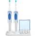 Buy Generic Toothbrush Holder for Oral-B Electric Toothbrush | Stand for 4 Brush Heads - White & Blue - Buy Online on GoSupps.com