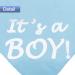 Its a Boy or Its a Girl Dog Bandana - Gender Reveal Pet Scarf for Pregnancy Announcement - Blue and Pink - Buy Online on GoSupps.com