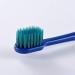 Zumaha Loose Toothbrush 8-Pack | Soft Bristles Wide Head Design for Adults & Juniors | Travel-Friendly Manual Toothbrushes - Buy Online on GoSupps.com