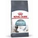 Royal Canin Hairball Care Complete Dry Adult Cat Food 3 x 400g - Buy Online on GoSupps.com