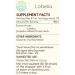 Buy Lobelia B120 Alcohol-Free Herbal Extract Tincture - Natural Concentrated Drops (4 fl oz) | International Shipping Available - Buy Online on GoSupps.com