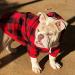 Plaid Dog Hoodie Pet Clothes Sweater with Hat - X-Large Red - Buy Online on GoSupps.com