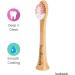 Booheads - Bamboo Electric Toothbrush Heads | Biodegradable & Eco-Friendly | Compatible with Sonicare Pink Edition - Buy Online on GoSupps.com