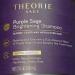 Theorie SAGE Brightening Shampoo for Blonde Silver & Highlighted Hair | 27 fl oz - Best International Shipping - Buy Online on GoSupps.com
