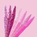 Kiara Sky Sprinkle On Glitter Collection - All I Can Pink Of - Buy Online on GoSupps.com
