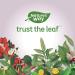 Nature's Way Boswellia / 120 Tabs 120 count (Pack of 1) - Buy Online on GoSupps.com