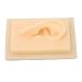 Human Ear Model Comfortable Lightweight and Soft Silicone for Teaching Demonstrations (Right)