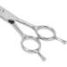 Hair Cutting Scissors Straight Hairdressing Shears Stainless Steel Tool for Home Salon - Buy Online on GoSupps.com