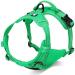 Buy Winhyepet TrueLove No-Pull Dog Harness - Reflective Adjustable with Linen Clips for All Dog Sizes (TLH5651 S Grass Green) - International Shipping Available - Buy Online on GoSupps.com
