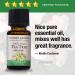 Nature's Answer USDA Organic Tea Tree Essential Oil - 100% Pure Aromatherapy Oil for Diffuser, 0.5 fl oz - Made in USA - Buy Online on GoSupps.com