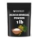Essencea Acacia Senegal Powder 1lb Pure Bulk Ingredients | Rich in Fiber | Soluble Fiber Powder | Non GMO and Gluten Free (16 Ounces)