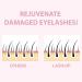 Amber Lash Curlerful - Eyelash Lift & Brow Lamination Tube Set | Professional Lash & Brow Perm 20ml Each - Buy Online on GoSupps.com