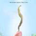 Emei Maofeng Tea Nenbud Fragrance Orchid e Th Vert pour Matcha Chinois en Vrac - Buy Online on GoSupps.com