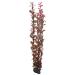 Hobby Ludwigia 60 cm