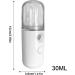 Face Steamer Humidificateur - Face Steamer pour Home Facial | Nettoyage en profondeur Dispositif de brume hydratante sans fil | Outil d'hydratation nano-pulv risation hydratateur de peau portable White - Buy Online on GoSupps.com