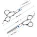 Professional Hair Cutting Scissors Set - Salon Quality Light & Sharp Silver Shears for Barbers and Home Use - Buy Online on GoSupps.com
