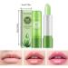 Yucccer Aloe Vera Lip Care Set - 3pcs Color-Changing Lipstick & Lip Butter | Waterproof Gift for Girls - Buy Online on GoSupps.com