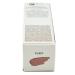 Gloss Bomb Universal Lip Luminizer - FUY Shimmering Pink | Buy Now - Buy Online on GoSupps.com