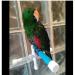 Portable Bird Parrot Shower Perch Stand with 3 Suction Cups - Ideal for Bathing, Playing and Resting - Wall or Window Hanging Platform for Parakeets and Small Birds - Buy Online on GoSupps.com