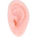Buhb Blackhead Toys & Ear Tools - Realistic Stress Relief & Anxiety Reduction Tweezers | Reusable Fun for All Ages - Buy Online on GoSupps.com