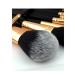 10-Piece Makeup Brush Set - Complete Beauty Tools for Powder & Eye Shadow | International Shipping Available - Buy Online on GoSupps.com