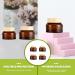 Lurrose 5-St Cosmetic Bottle Set | Glass Lotion & Cream Containers for Travel | Empty Makeup & Eye Cream Jars - Buy Online on GoSupps.com