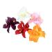 Buy Artificial Hawaii Plumeria Hibiscus Hairpins | 5-Piece Orchid Bobby Pin Set for Women & Girls - Buy Online on GoSupps.com