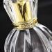 50ml Empty Glass Perfume Spray Atomiser Gold Crystal Cap Oval Bottle - Buy Online on GoSupps.com