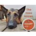 HOWND Skin Nose & Paw Balm with Hemp Seed Oil & Sun Protection - Vegan, Unscented, Fast-Absorbing - 50g - Buy Online on GoSupps.com